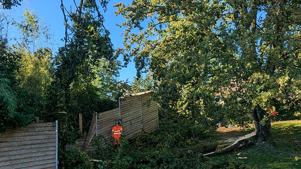 Aufräumarbeiten der Sturmschäden in der Region Schaffhausen Aufräumarbeiten der Sturmschäden in der Region Schaffhausen